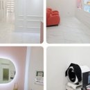 다미에스테틱 네이버블로그
