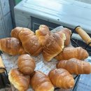 빵집곰선생님