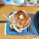 순화궁로 | 남양주 별내동 애견 동반 가능 프라이빗 개별 룸 투쁠 한우++ 소고기 맛집 [담소]