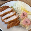 카츠올로지
