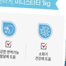 펫웨이브 동물의료센터 | 펫웨이브동물의료센터에서의 특별한 경험 💖