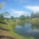 파라다이스골프장 이미지