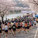포항종합공설운동장일대 | 마라톤뻐꾸기 뜻, 2026년 마라톤대회 일정 (4월, 5월 러너 필독)