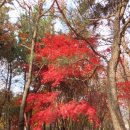 갯골근린공원 이미지