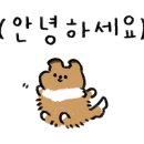 레디코너