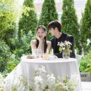 비마이스튜디오