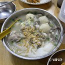 메종페퍼 | 신무이굴국수, 타이파빌리지 카페 메종, 스토우즈 에그타르트, 페퍼런치 방문 후기 [마카오 맛집 1탄]