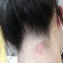 한국한센복지협회경기인천지부부설의원 이미지