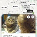 커피콘서트-밴드 날다 <번쩍> | 결말이 명확하게 정해져 있는 소설처럼 살고 싶었지만