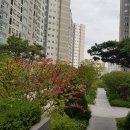 파크자이공인중개사사무소 이미지