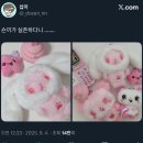 대영24세차타운 | 2025.09.04 NCT WISH FIND YOUR COLOR | 위시돌 뽑기, 위부부의 늪 엔시티 위시 컬러 성수 팝업 3일차 후기