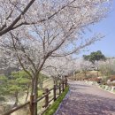 봉수산 뉴스티앤티