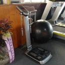 서승준피트니스 이미지