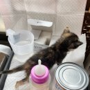 새로이동물병원 이미지