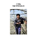 성심마취통증의학과의원 네이버블로그