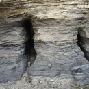 다솜이네 이미지