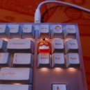 몽PC 이미지