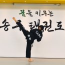 송무 태권도 이미지
