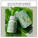 신체의 열매 | 고체올레샷 디어라인, 육아맘의 무너진 신체 리듬 되찾는 골든타임 후기