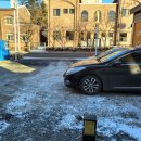 다솜애견미용실 이미지