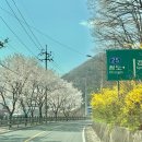 잔츠(Jants)