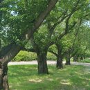 가산수피아 이미지