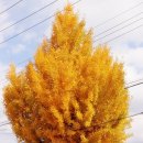 원평동물병원 이미지