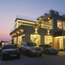 블루비타 이미지