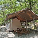 동그리멍 | [서울대공원 캠핑장] 11월 초 방문 / 장단점, 비용, 간단한 후기