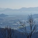 운주목재