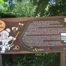 서오릉산책