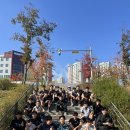 팀 복싱 스터번 아양지구점 | 11월 시작 ! 복싱 스터번 훈련 Moment. [ 이천복싱/이천 송정동/운동추천/운동맛집/복싱스터번 본점 ]