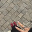 이번 주 일상 [안 붐비는 장소 추천! +살목지 후기]