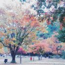 바래봉길 이미지