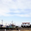 제주애견카페 초록동산 이미지