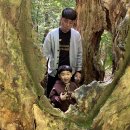 김결 카카오 검색결과