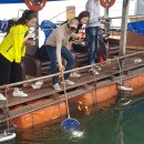 신진좌대 이미지