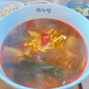 하누탕 이미지