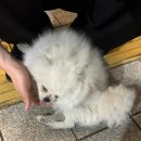 운말참숯갈비