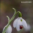일산 동구 요양원 찾는다면 중산요양복지센터 전문적인 돌봄 서비스