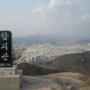 연리지 이미지