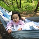 오도산자연휴양림(합천) 이미지