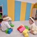 라라키즈 어드벤처 이미지