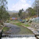 수골 농장 이미지