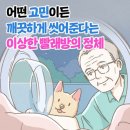 빌세탁소 이미지