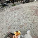 탈스테이 이미지