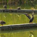 가온공원 이미지