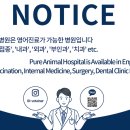 순수 동물병원 이미지
