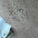개미세탁 | 고흥 고요한바다펜션 객실 후기 | 아이와 함께 가볼 만한 고흥 펜션