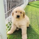 나이스메디칼 이미지